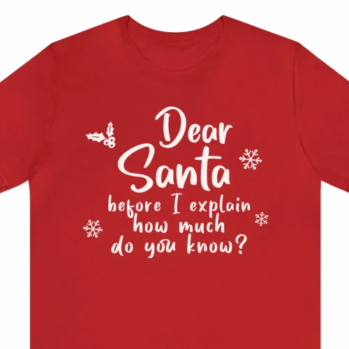 A Funny Christmas t-shirt that says "Dear Santa, before I explain, how much do you know?" red color