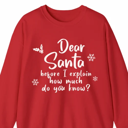 A Funny Christmas sweatshirt that says "Dear Santa, before I explain, how much do you know?" red color